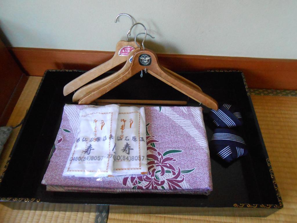 Ryokan Masuya Hakone Oda fotoğraf